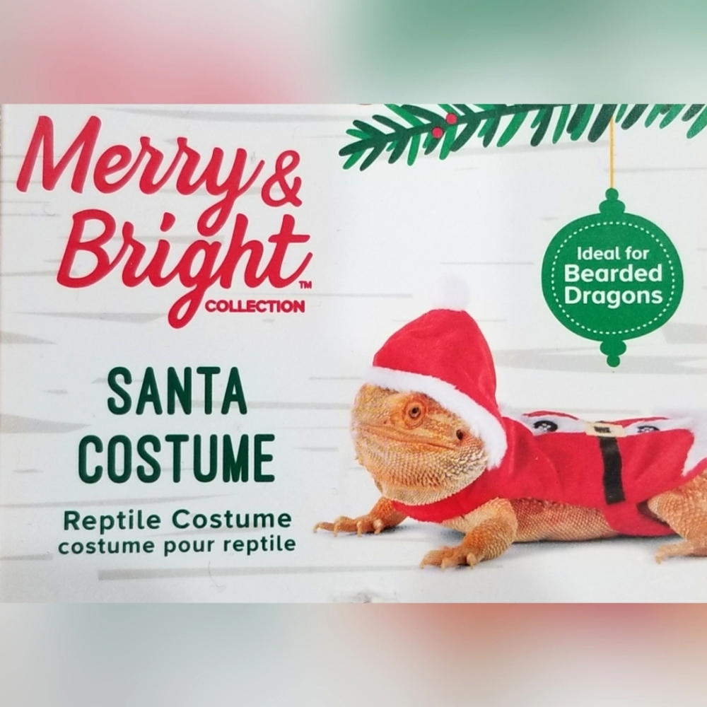 Santa Bearded Dragon costume